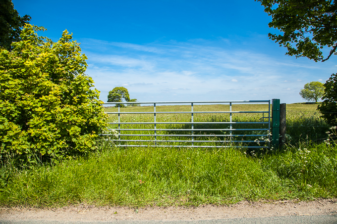 Gates (08)